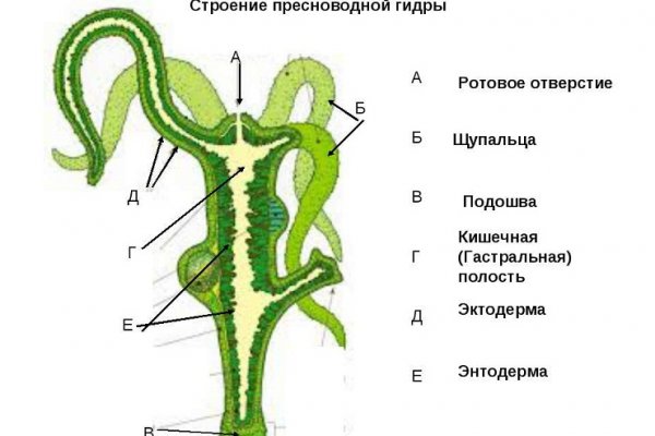 Кракен это современный даркнет маркет плейс