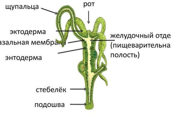 Не приходят деньги на кракен