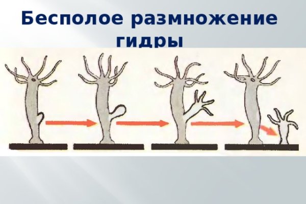 Что такое кракен маркетплейс в россии