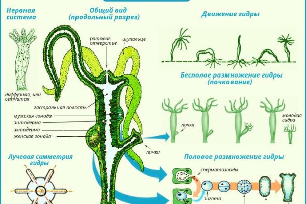 Кракен зеркало ссылка онлайн