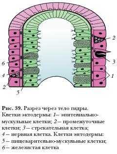 Сайт кракен войти