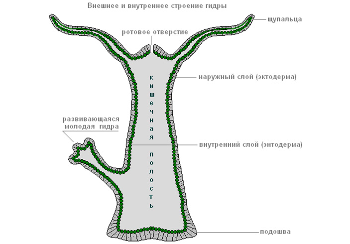 Кракен сайт 13at